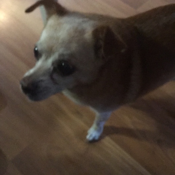 Meet your Posher, Mary ann - Picture 1 of 1